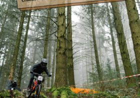 MSR CUP DH 2025